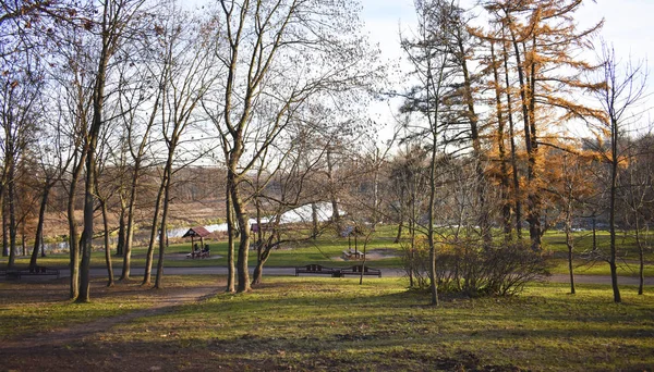 Panorama Natürlicher Hintergrund Ein Spaziergang Park — Stockfoto
