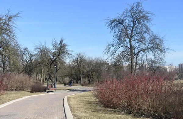 Een wandeling in het Park op een prachtige dag. — Stockfoto