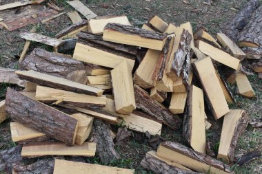 Kuru doğranmış tahta.