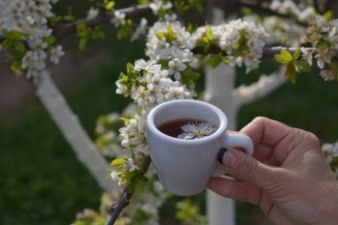 Elinde içkisi olan beyaz kupa..