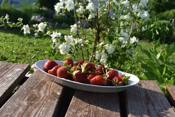Strawberries on platter. — Stock Photo, Image