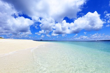 Okinawa 'da güzel bir plajın resmi.
