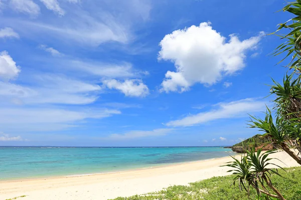 Immagine Una Bellissima Spiaggia Okinawa — Foto Stock