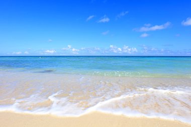 Okinawa 'da güzel bir plajın resmi.