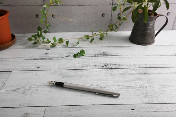 Ein Stift Auf Dem Schreibtisch — Stockfoto