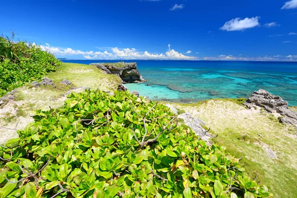 Blå Himmel Och Hav Okinawa — Stockfoto