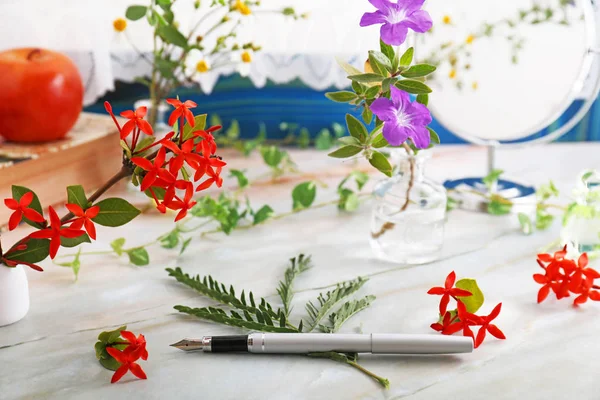 Una Pluma Estilográfica Escritorio —  Fotos de Stock