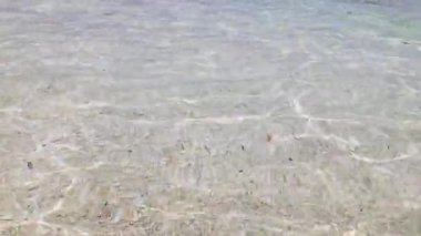 Mavi berrak deniz yüzeyi