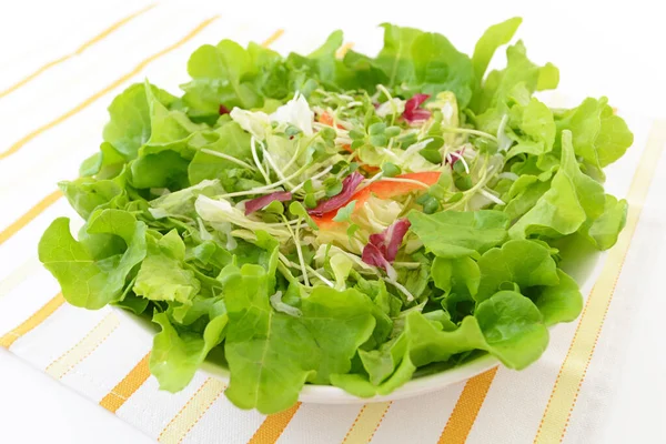 Frischer Und Gesunder Gemüsesalat — Stockfoto