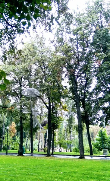 Uma Menina Parque Cidade Com Guarda Chuva — Fotografia de Stock