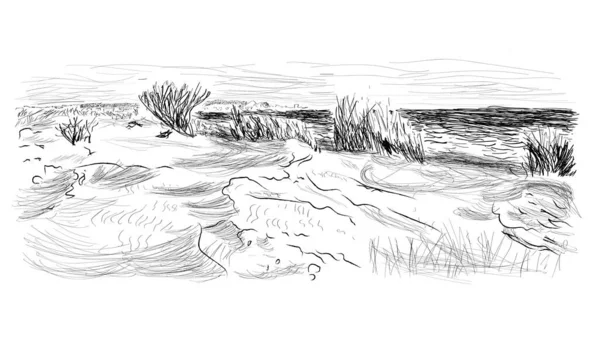 Sable Dunes Avec Herbe Sur Bord Mer — Image vectorielle