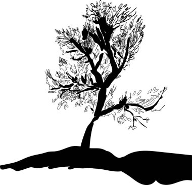 Gün batımında ya da gün doğumunda bir ağacın gölgesinde. Kapak, illüstrasyon, baskı, kartpostal. Mürekkep çizimi