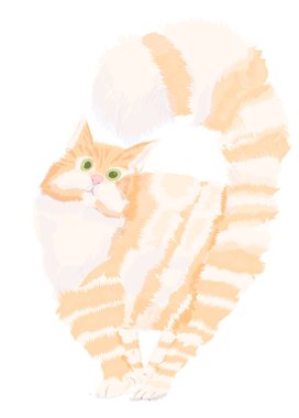 Yeşil gözlü kızıl bir kedi sırtını kamçıladı ve izleyiciye baktı. Şişko kedi korkmuş ya da şaşırmış görünüyor, gözleri tamamen açık. Suluboya tekniği. Yazdırma, kartpostal, kapak, site, tasarım ögesi.