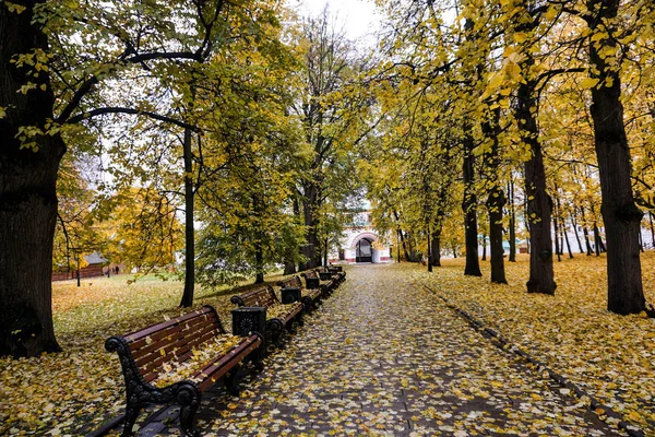 Осень Осень Желтые Листья Скамейки Покрыты Опавшими Листьями Аллея Парке — стоковое фото