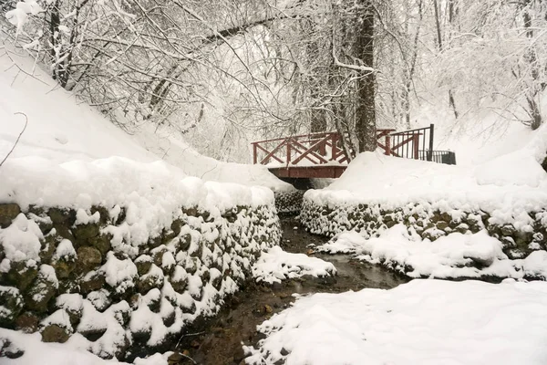 Winter landscape. Trees in snow. City park. stream. water