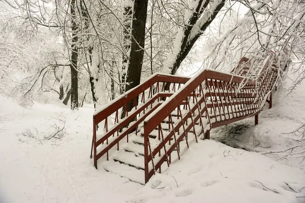Winter landscape. Trees in snow. City park. Red stairway