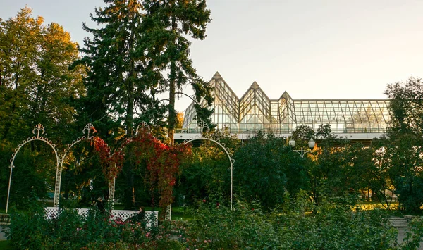 Goldener Herbst Park Malerische Brücke Blätter Auf Den Bäumen Glaskuppel — Stockfoto