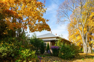 Sonbahar manzara. Sarı yapraklar ağaçlarda. Yere düşen yapraklar ile kaplıdır. Köyde bir ev.