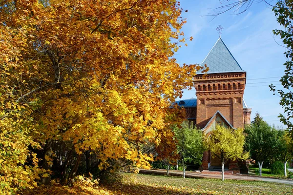 秋天的风景 黄色树叶中的树木 地面上覆盖着落叶 秋天在修道院 教堂圆顶 — 图库照片