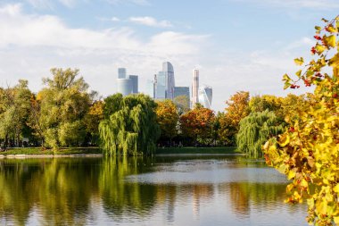 Sonbahar manzara. Sarı yapraklar ağaçlarda. Yere düşen yapraklar ile kaplıdır. 