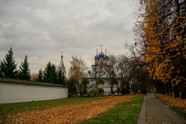 Sonbahar manzara. Sarı yapraklar ağaçlarda. Yere düşen yapraklar ile kaplıdır. 