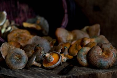 Ahşap üzerine mantar sepeti 