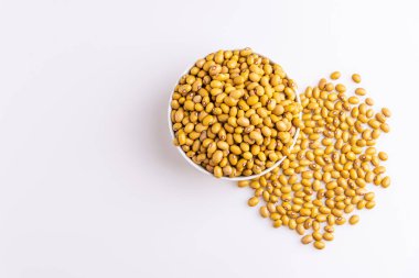 Bolinha Fasulyeleri beyaz arka planda izole edilmiş beyaz bir kasede