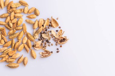 Beyaz arka planda izole kuru Kakule pod yığını üst görünümü, Latince terim Elettaria kakule