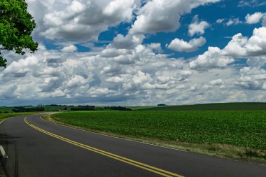 Tibagi dramatik bir gökyüzü ile yol yakınında soya fasulyesi plantasyon Amazing manzara - Parana - Brezilya 