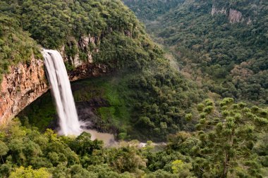 Caracol şelale manzarası ile Amazing manzara - Canela City, Rio Grande do Sul - Brezilya 