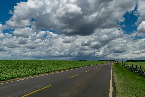 ティバギで劇的な空と道路の近くに大豆プランテーションの素晴らしい風景 パラナ ブラジル — ストック写真