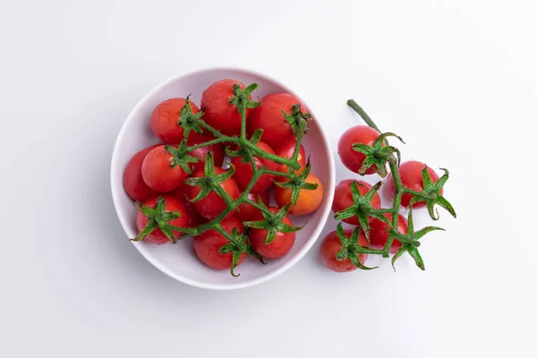 토마토 가지의 그릇에 토마토의 배경에 — 스톡 사진