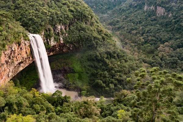 Caracol şelale manzarası ile Amazing manzara - Canela City, Rio Grande do Sul - Brezilya 