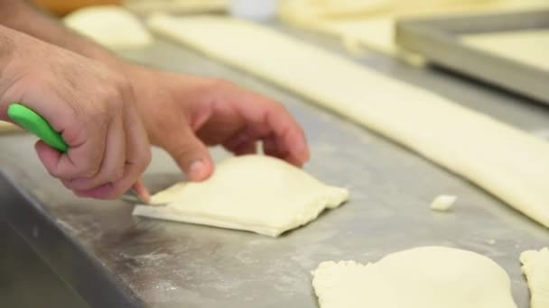 Fabrication Coxinha Frango Snacks Traditionnels Brésiliens Farcis Poulet — Video