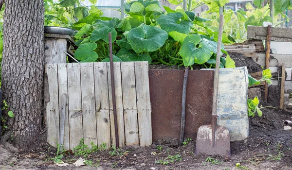 カボチャと堆肥 — ストック写真