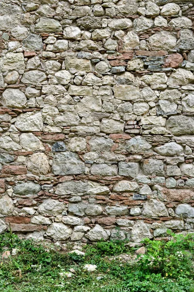 Weathered Old Stone Wall Wild Plants Foreground — Stock Photo, Image