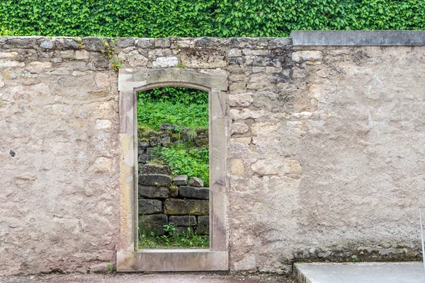 Wall Park Passage Green Hedge Background — Stock Photo, Image