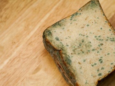 Süresi dolmuş ekmek kadar kalıp.