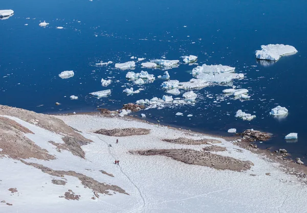 Hábitat Pingüinos Una Isla Llena Nieve —  Fotos de Stock