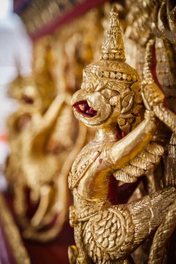 Garuda büyük efsanevi kuş, kuş benzeri yaratık veya Hindu ve Budist mitolojisinde görünür insansı kuş olduğunu.