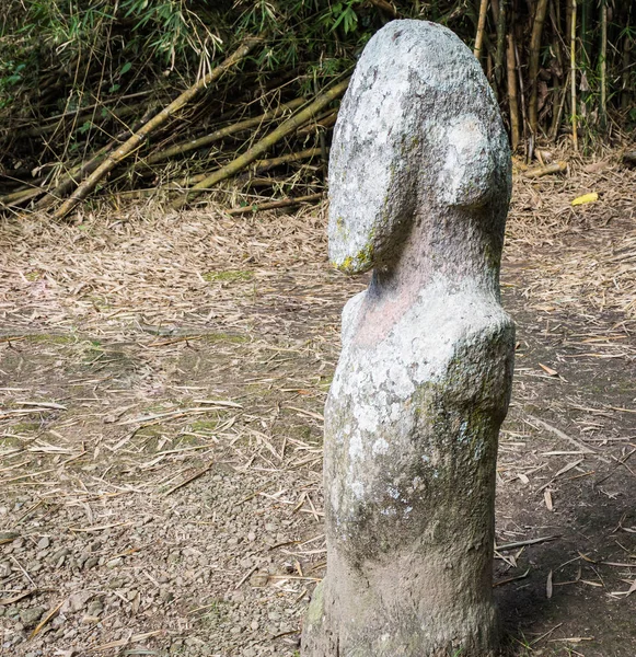 Megalito Una Gran Piedra Que Utilizado Para Construir Una Estructura —  Fotos de Stock