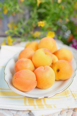 Bir fincan taze kayısı bahçesinde bir masada duran