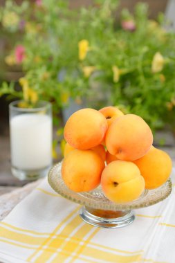 Bir fincan taze kayısı bahçesinde bir masada duran