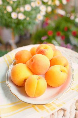 Bir fincan taze kayısı bahçesinde bir masada duran