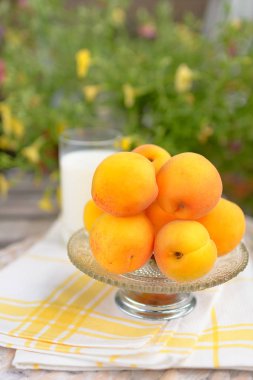 Bir fincan taze kayısı bahçesinde bir masada duran