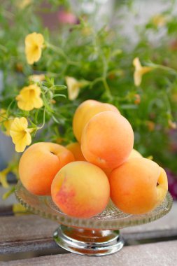 Bir fincan taze kayısı bahçesinde bir masada duran