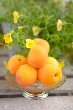 Bir fincan taze kayısı bahçesinde bir masada duran