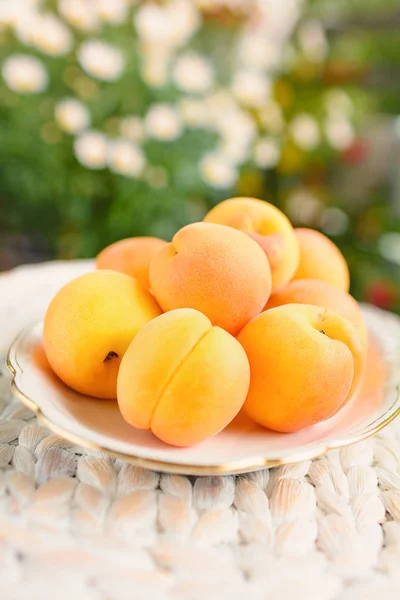 Frische Aprikosen Einer Tasse Stehen Auf Einem Tisch Garten — Stockfoto