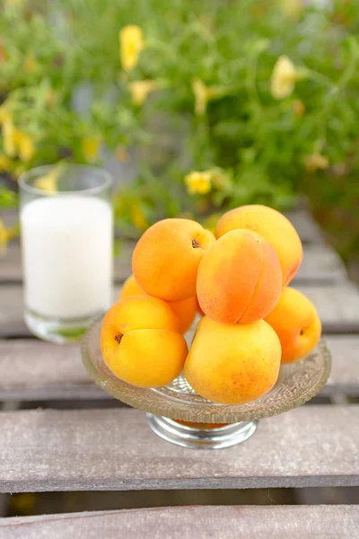 Frische Aprikosen Einer Tasse Stehen Auf Einem Tisch Garten — Stockfoto