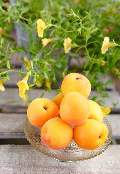 一个杯子里的新鲜杏子站在花园里的桌子上 — 图库照片